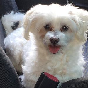 Meet your Posher, Courtney